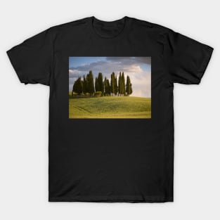 Group of cypress trees in Tuscan landscape T-Shirt